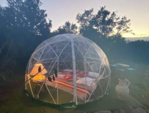 Dôme transparent en Corse, offrant une vue imprenable sur la nature environnante.