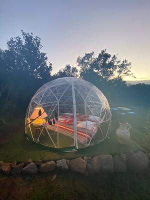 Dôme transparent en Corse, offrant une vue imprenable sur la nature environnante.