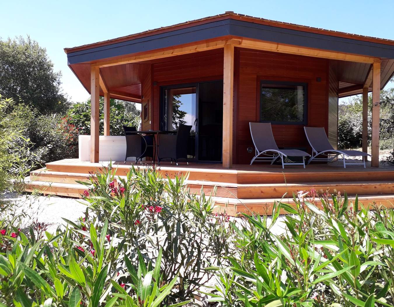 20210610_152825 Cabane en bois à Languedoc-Roussillon, entourée de verdure et de fleurs colorées.