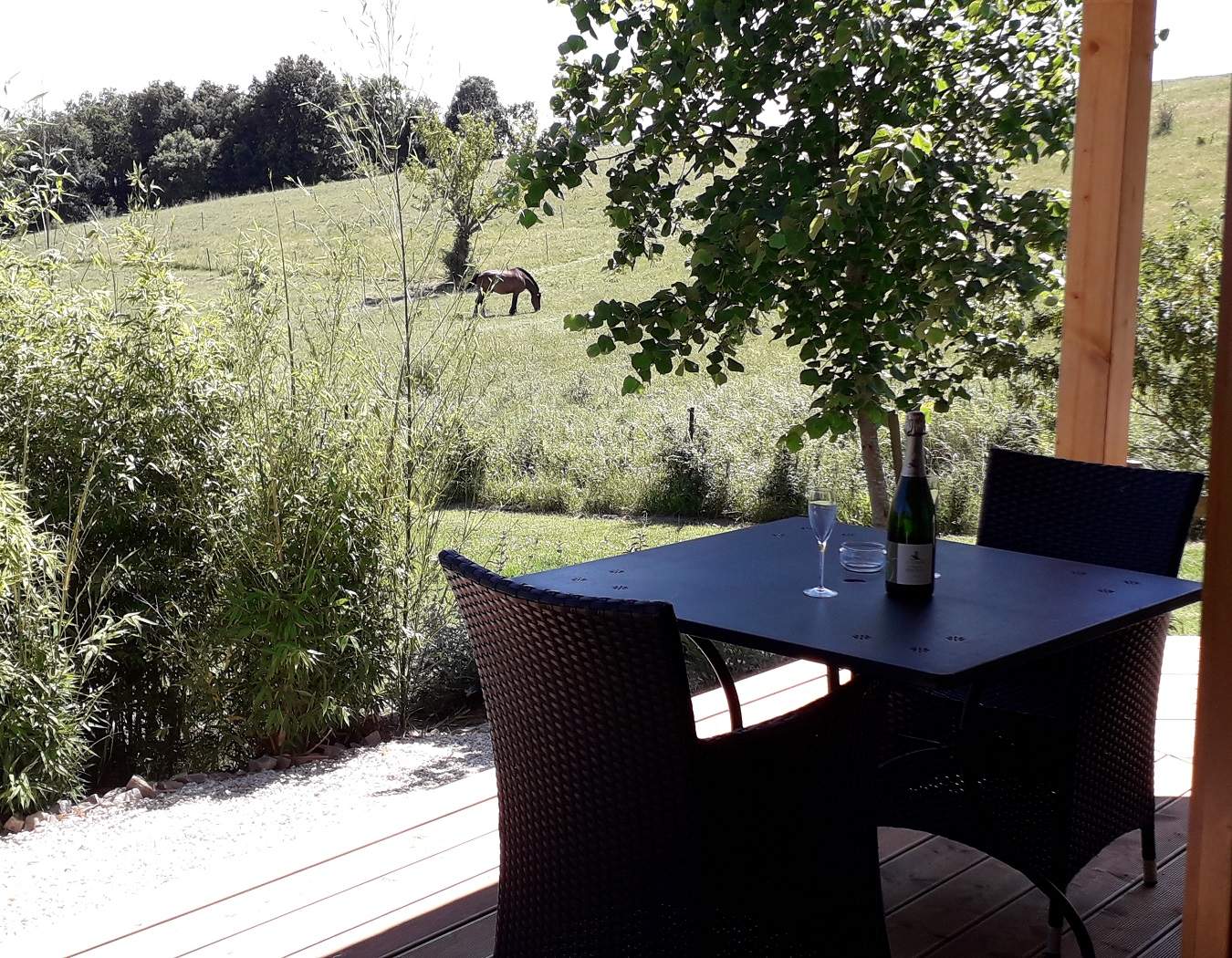 20210610_153506 - Copie Hébergement insolite en Languedoc-Roussillon, terrasse avec vue sur un cheval.