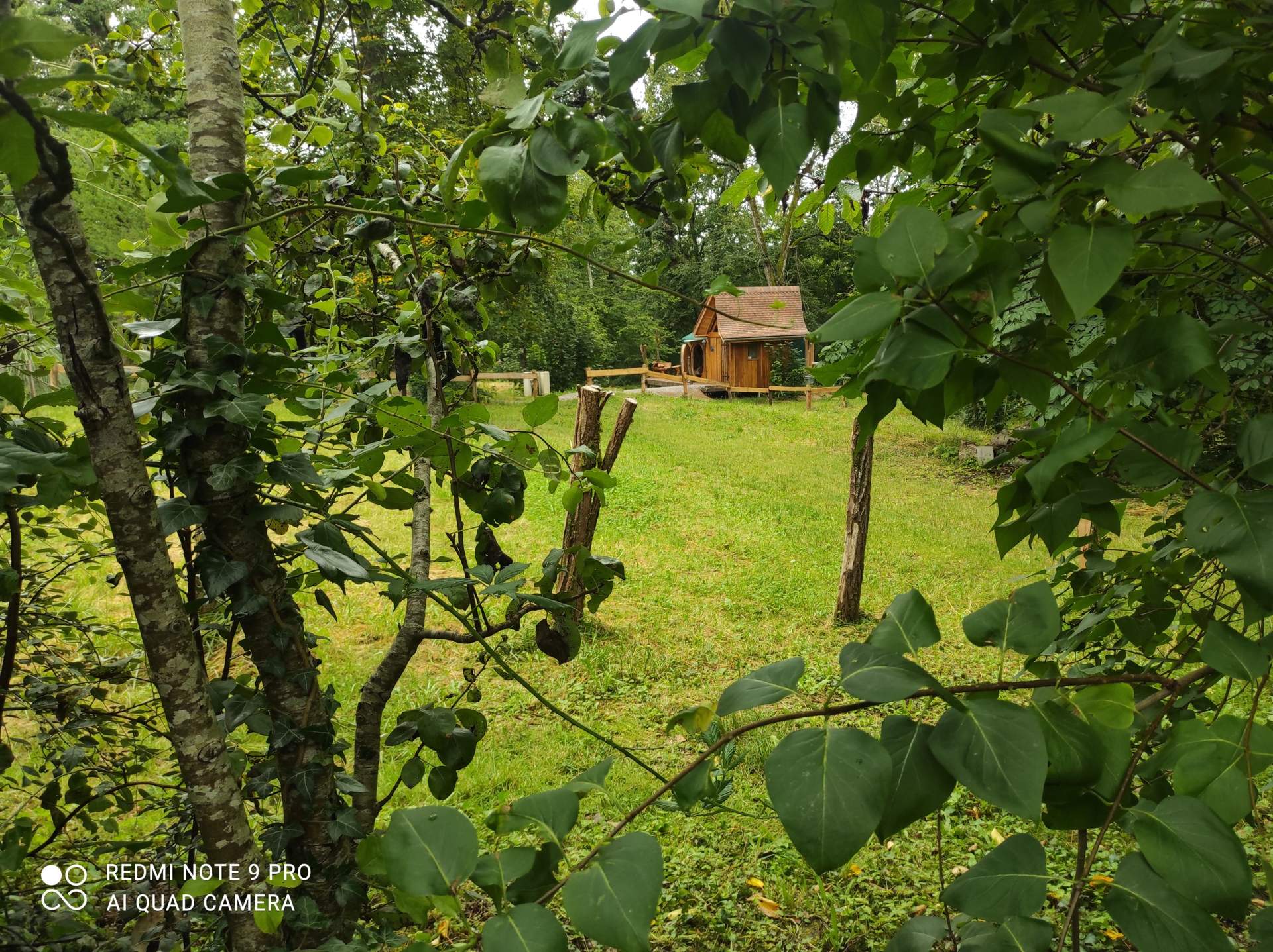 IMG_20210724_122054 Cabane en bois nichée dans la verdure, entourée darbres en Bourgogne.