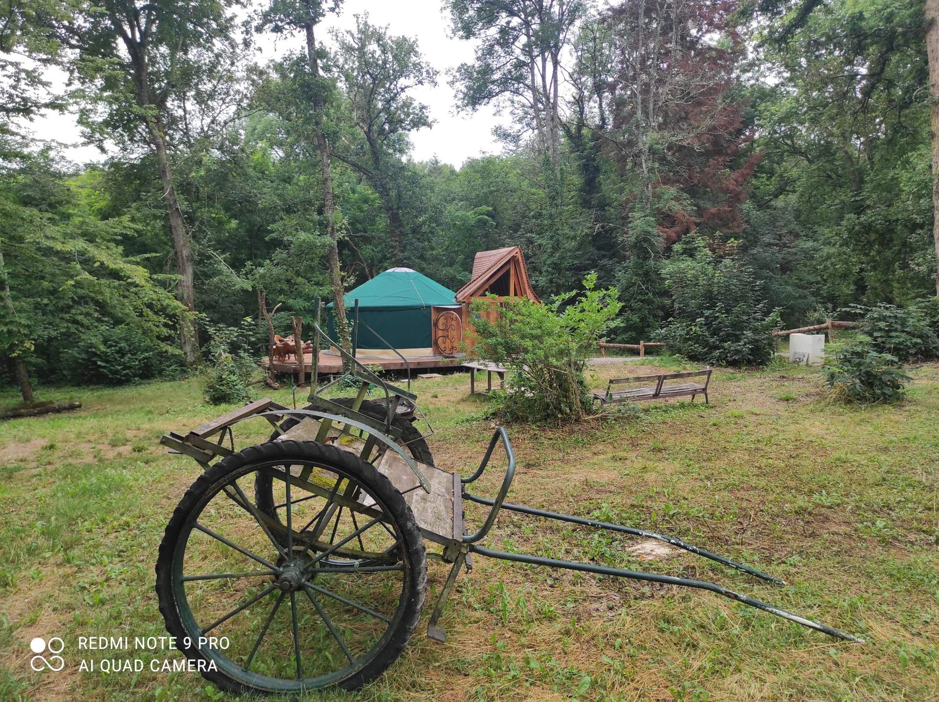 IMG_20210724_122249 Hébergement insolite en Bourgogne : yourte au milieu de la nature, entourée darbres.