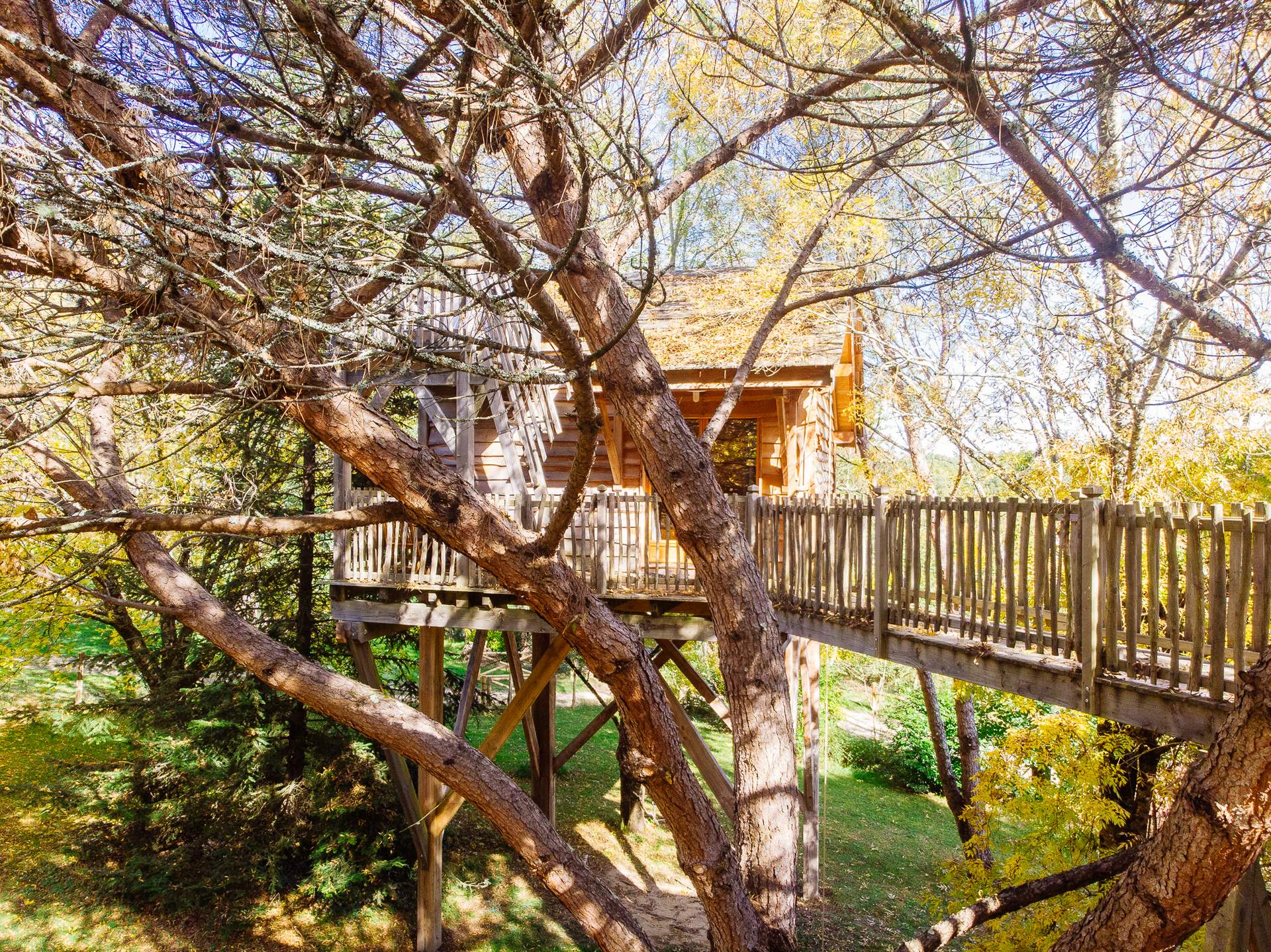 Cabane Palombiere 10 Cabane perchée dans les arbres, entourée de feuillage doré en Aquitaine.