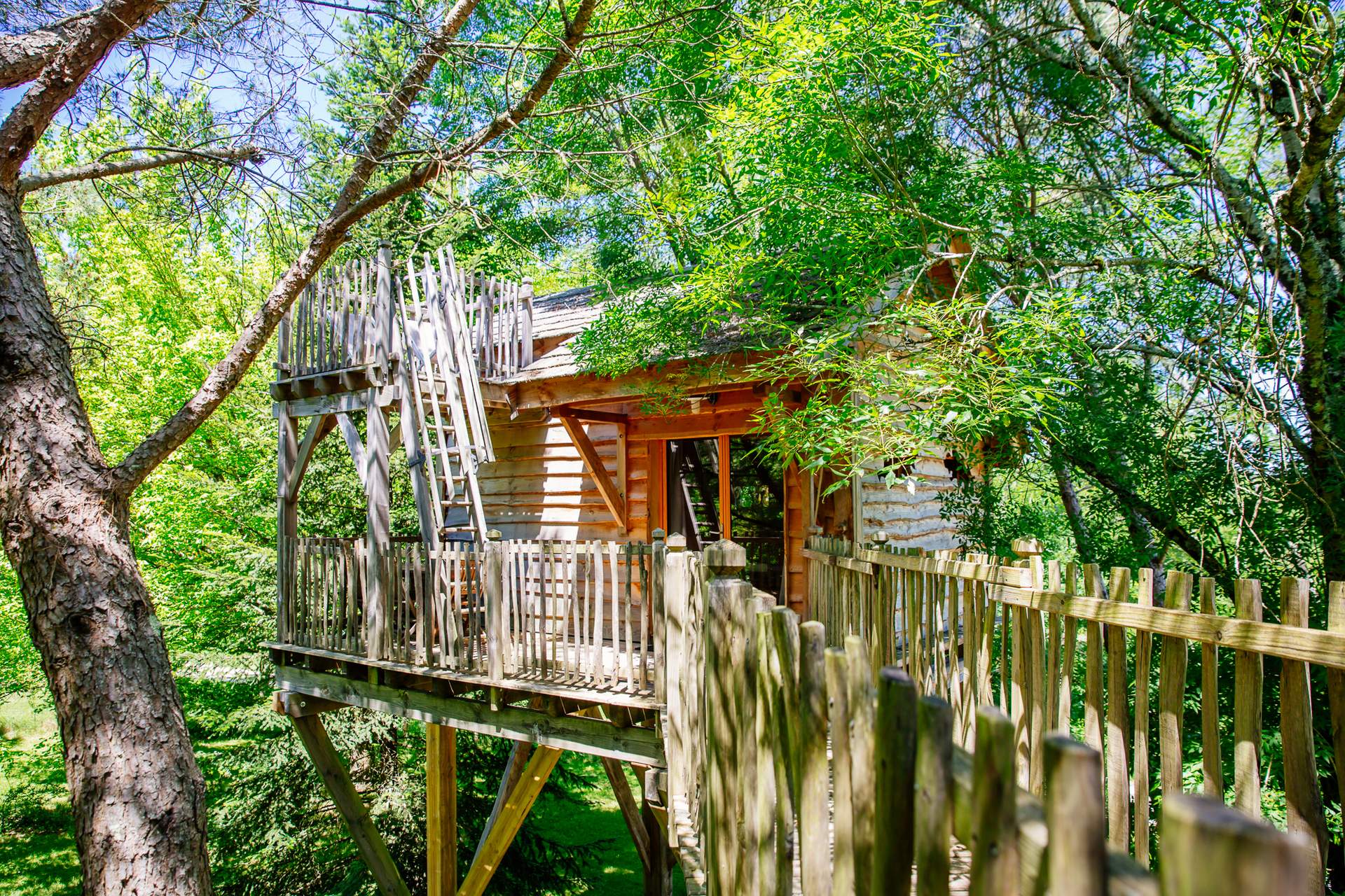 Cabane Palombiere 2 Cabane perchée dans les arbres, entourée de verdure luxuriante en Aquitaine.