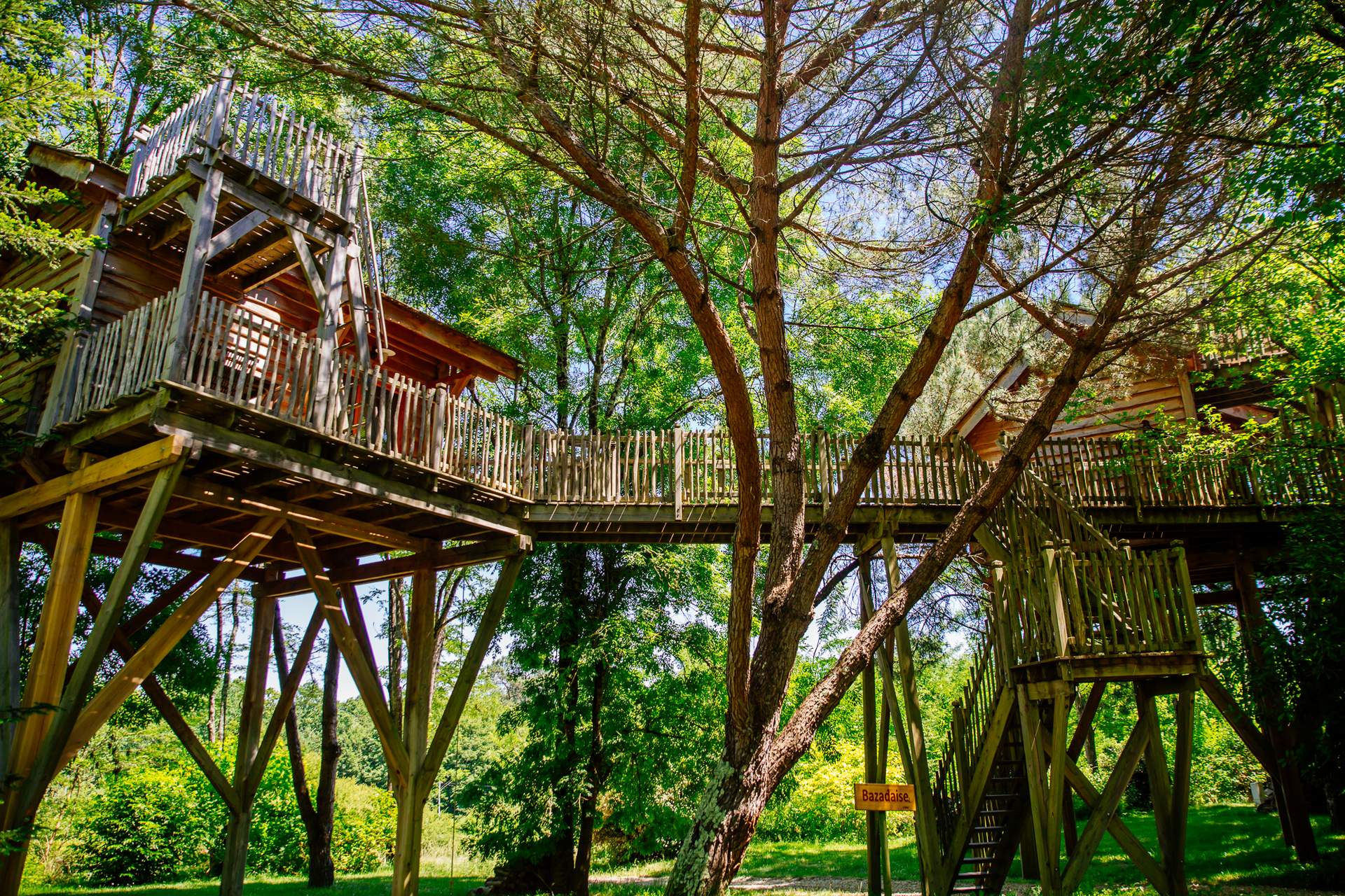 Cabane Palombiere 8 Cabane dans les arbres en Aquitaine, perchée au milieu dune forêt verdoyante.