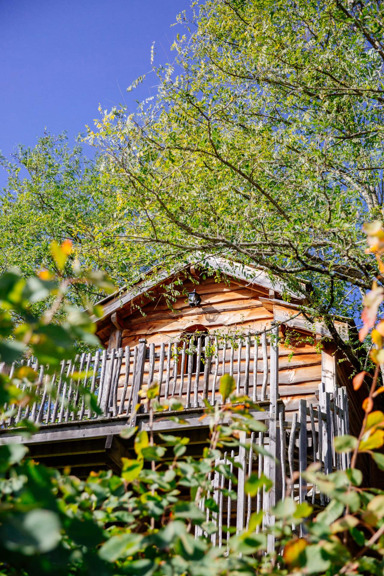 Chateau dans les arbres 11 Cabane perchée en Aquitaine, entourée de verdure et sous un ciel bleu.