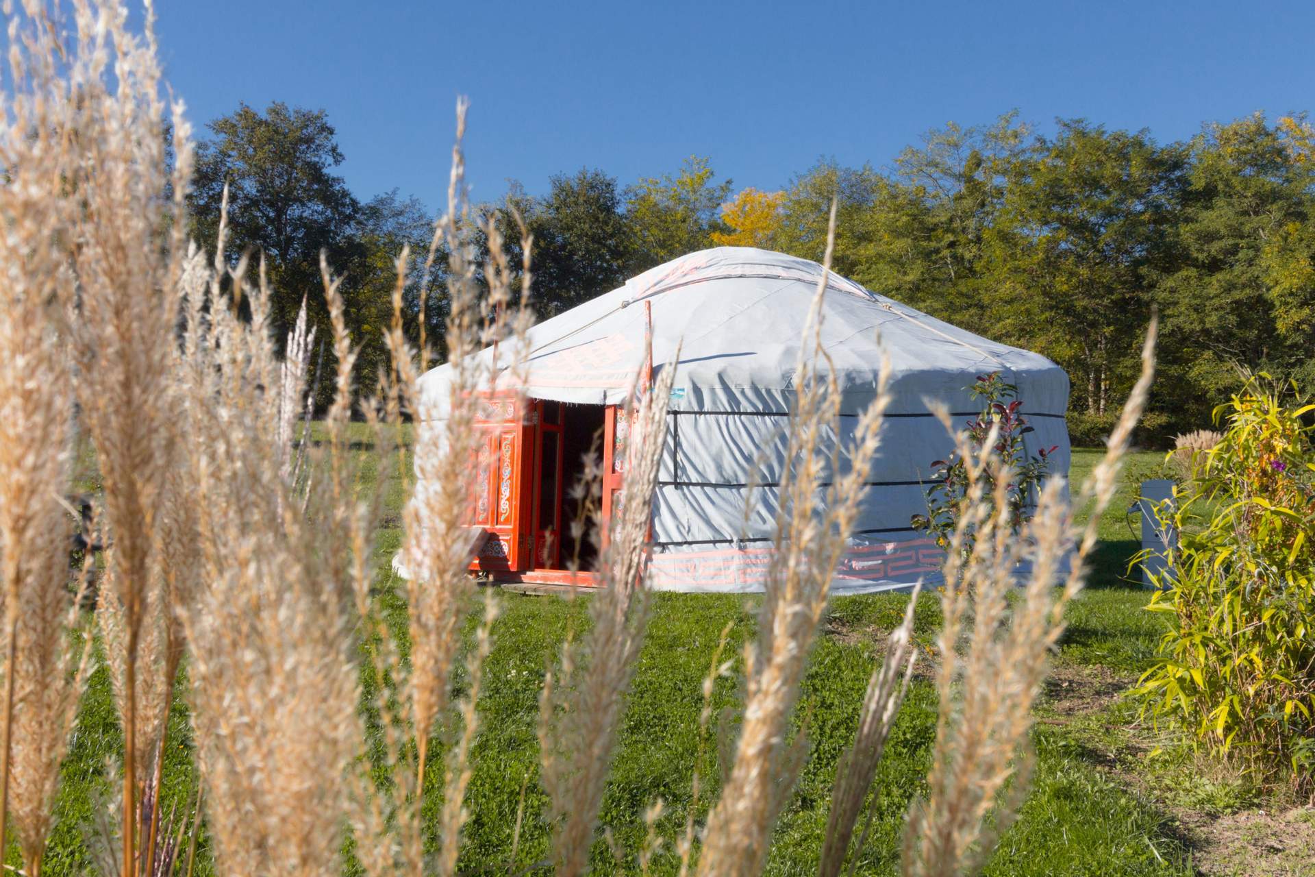 Yourte 9 Yourte charmante en Aquitaine, entourée de verdure et de fleurs.