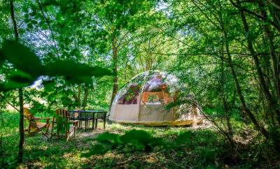 Dôme transparent en pleine nature, entouré darbres, avec mobilier de jardin.