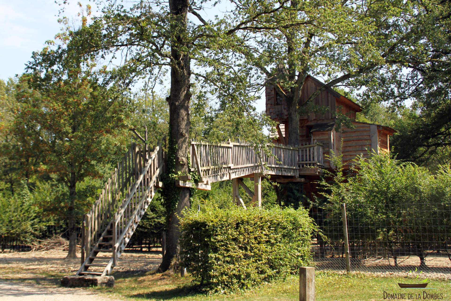 Chenes (1) Cabane dans les arbres en Auvergne-Rhône-Alpes, perchée au milieu de la verdure.