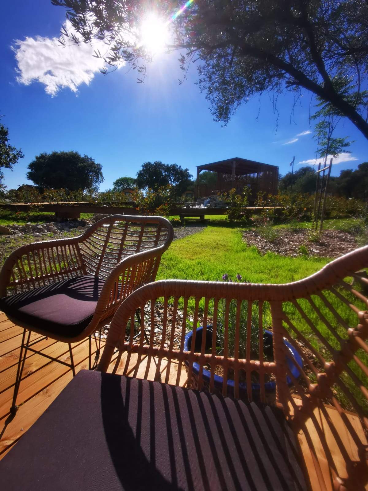 Hébergement insolite en Languedoc-Roussillon, avec chaises en rotin et vue sur la nature.