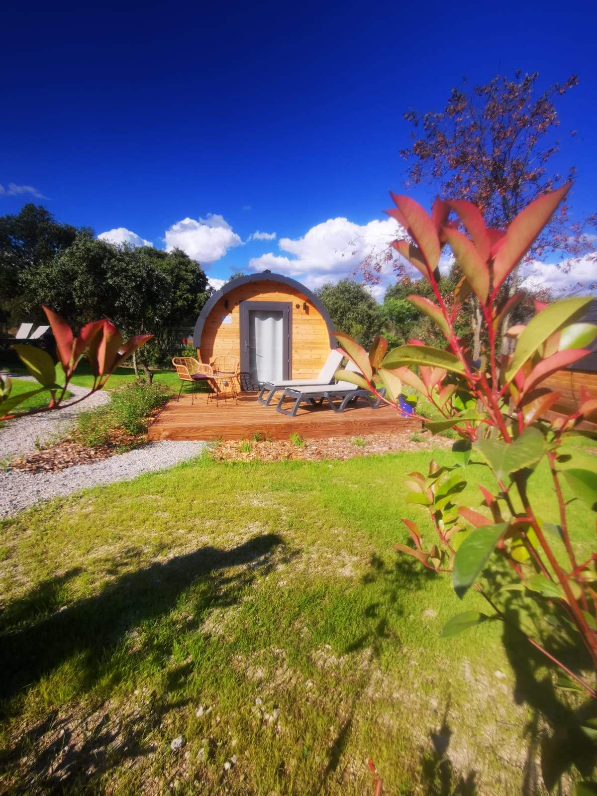 Hébergement insolite en forme de bulle, entouré de verdure et dun ciel bleu.