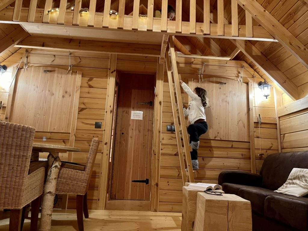 sangliers2 Cabane en bois chaleureuse avec mezzanine, escalier en bois et ambiance conviviale.