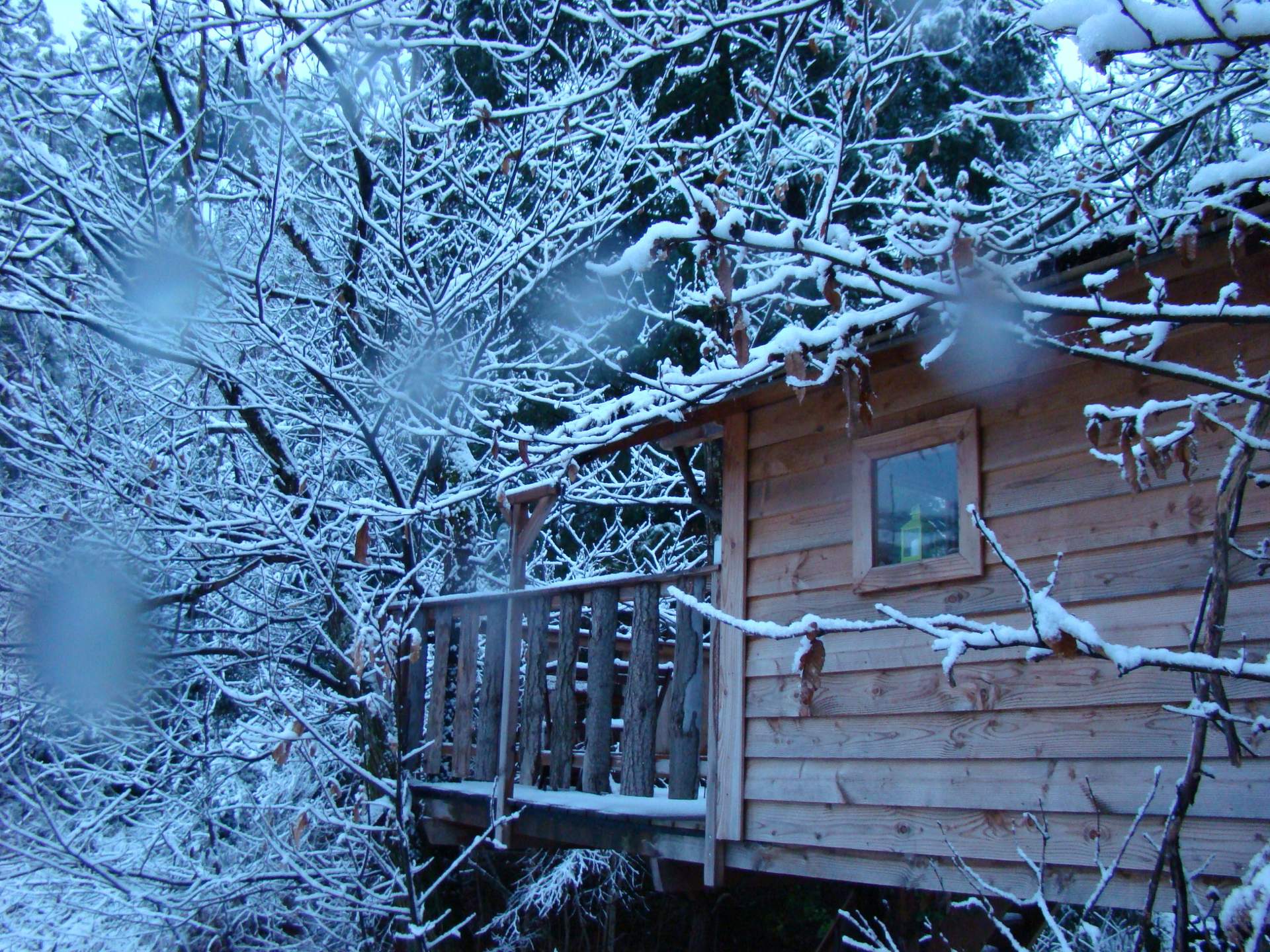DSC07389 Cabane perchée en bois, entourée de neige et darbres enneigés. Tranquillité assurée.