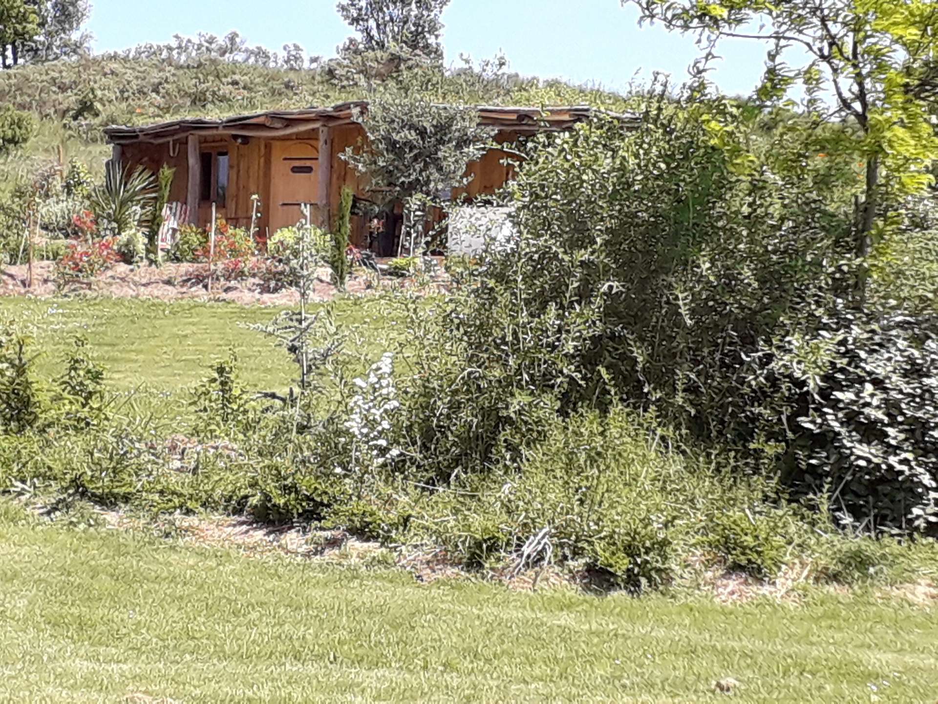 20200505_120223 Cabane en bois au milieu dun jardin verdoyant, entourée de plantes luxuriantes.