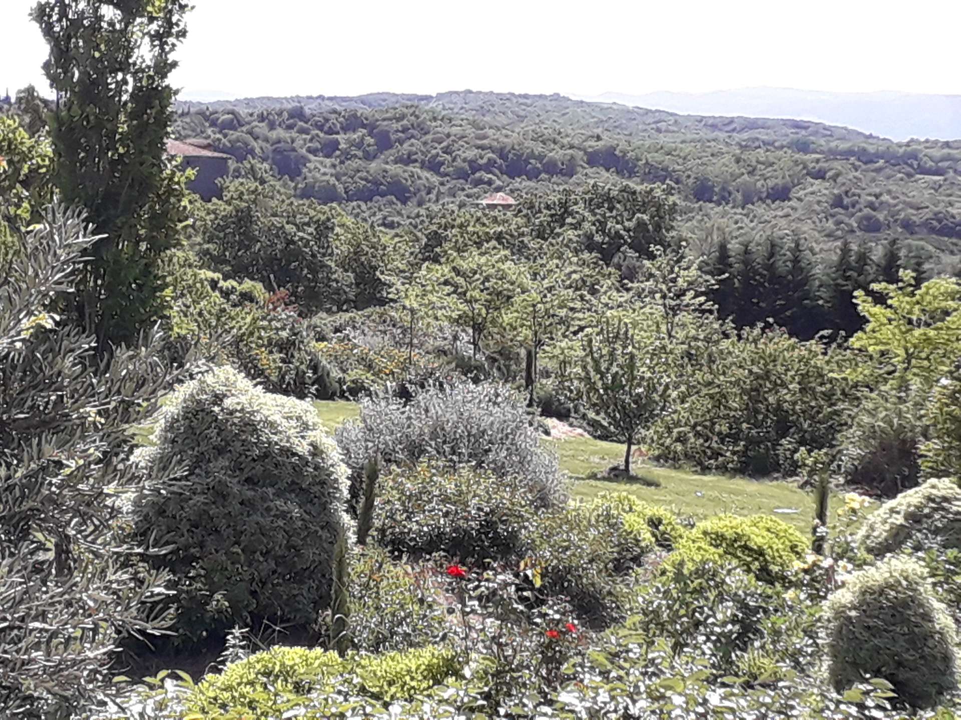 20200505_121030 Hébergement insolite en pleine nature, avec vue panoramique sur les collines verdoyantes.