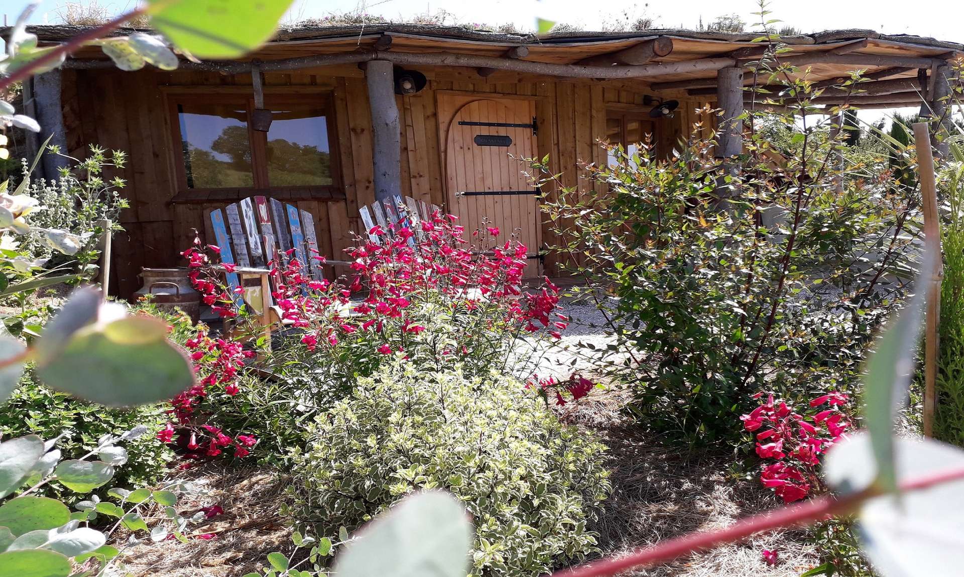 20200529_110941 - Copie Cabane en bois entourée de fleurs colorées dans le Languedoc-Roussillon.