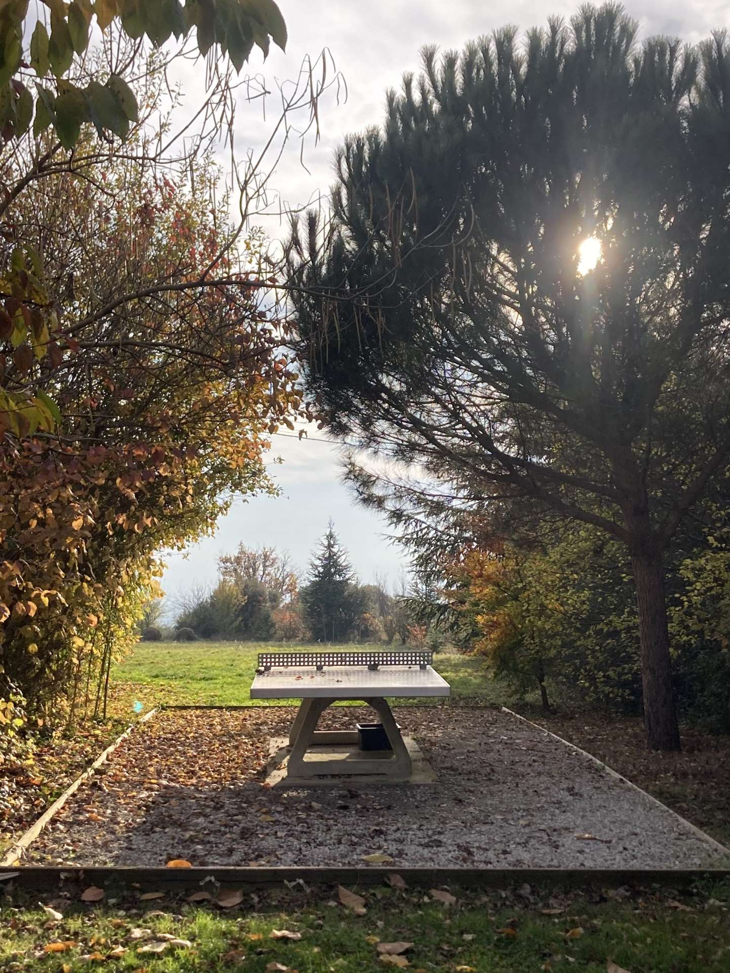 IMG_0513 Hébergement insolite en pleine nature, table de ping-pong entourée darbres colorés.