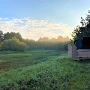 Cabane en bois au bord dun étang, entourée de verdure et de lumière matinale.