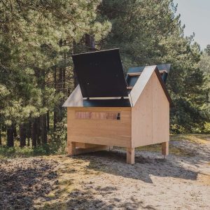 Cabane en bois moderne, nichée dans la forêt, avec un toit incliné et des fenêtres lumineuses.