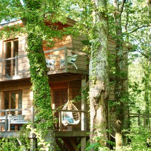 Cabane perchée en bois, entourée darbres, avec balcon et chaises confortables.