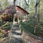 Les Cabanes du Lac du Der