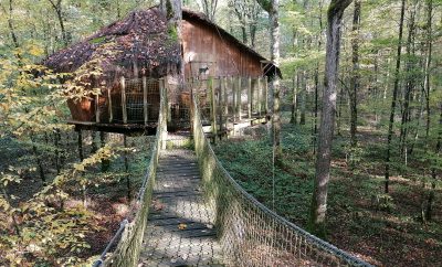 Les Cabanes du Lac du Der