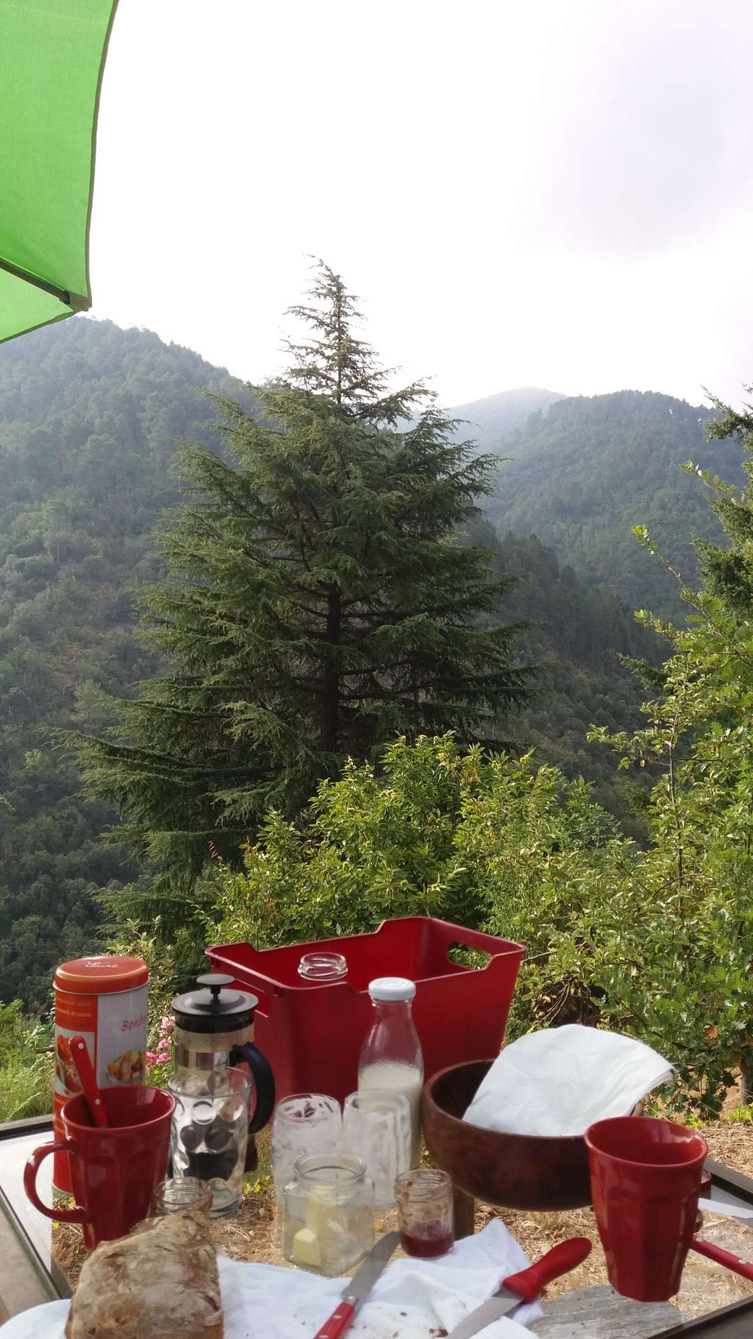 20180807_090718 Hébergement insolite en pleine nature, vue sur les montagnes et table conviviale.