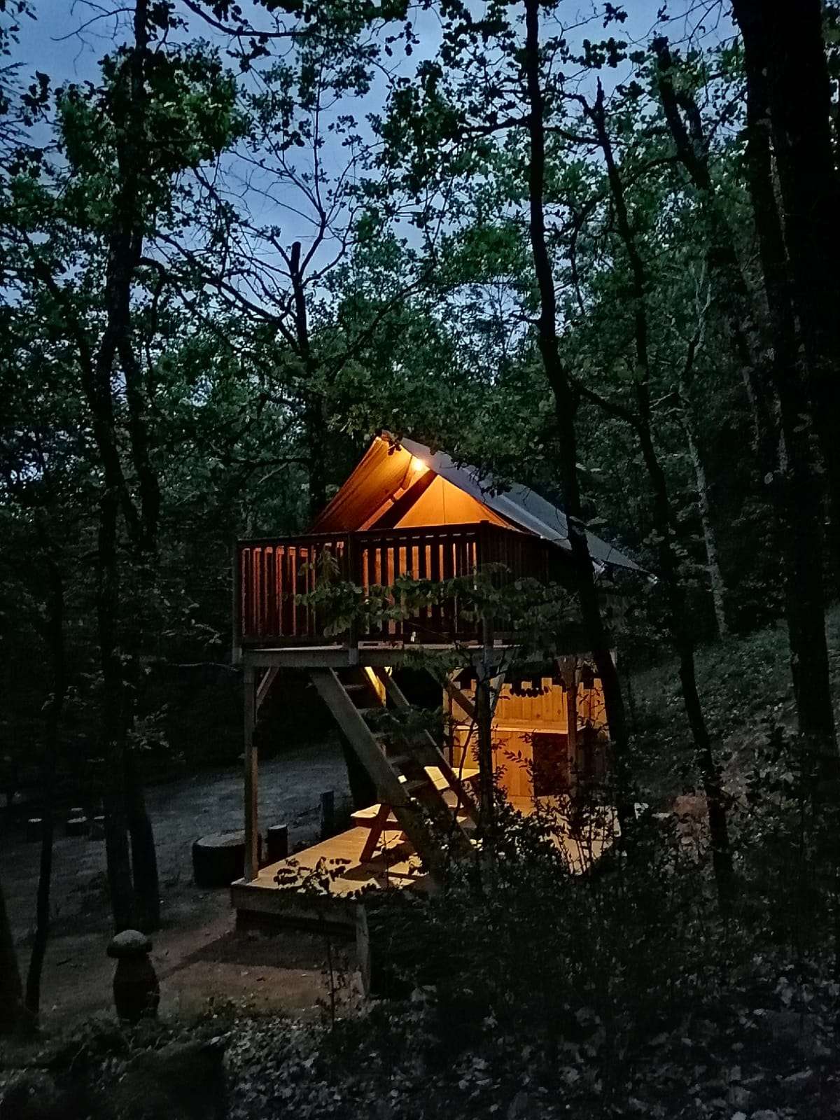 IMG-20200502-WA0012 Cabane perchée dans les arbres, éclairée, entourée de verdure au crépuscule.
