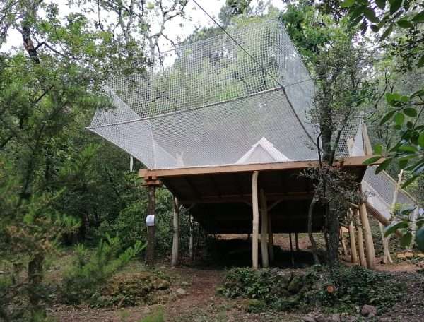 IMG_20210523_103535_331 - Copie