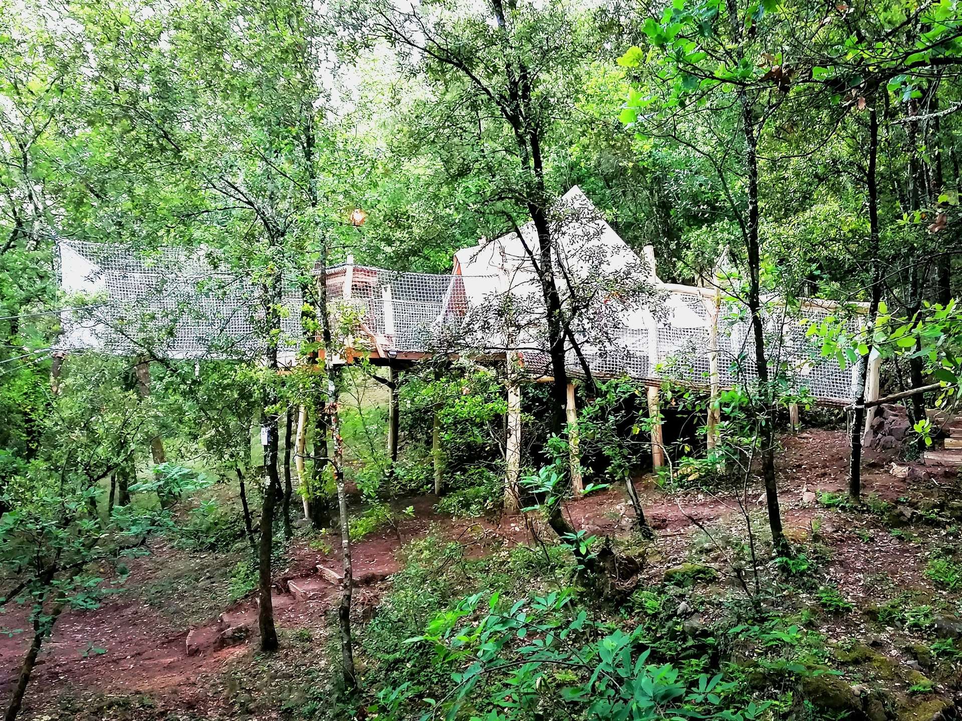 IMG_20210610_100916 Cabane perchée dans les arbres, entourée de verdure luxuriante à Languedoc-Roussillon.