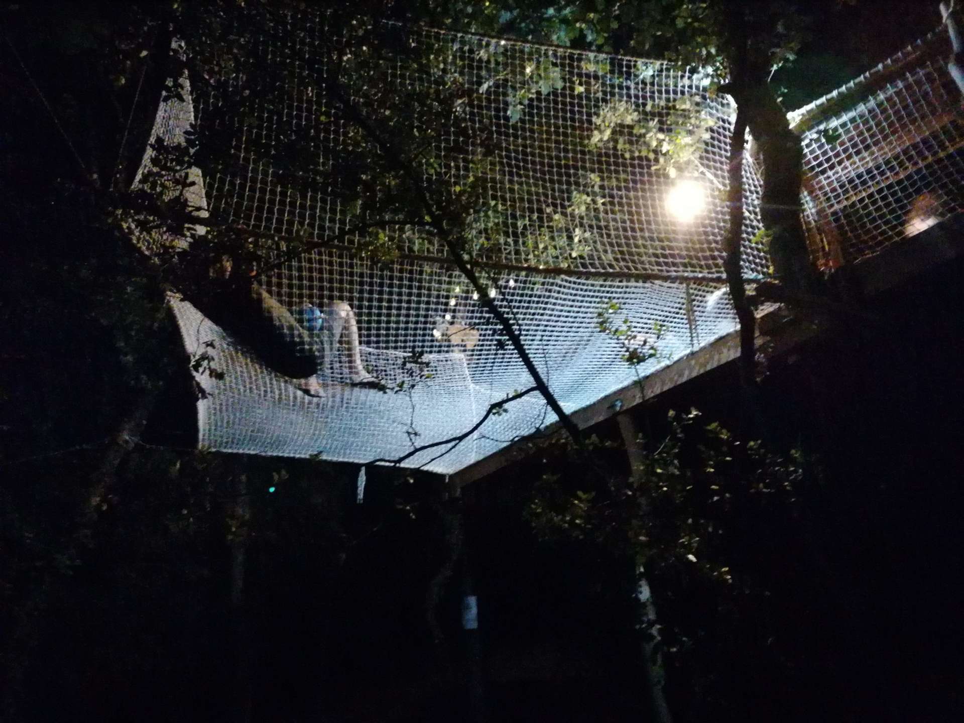 IMG_20210611_224624 Hébergement insolite en filet suspendu, illuminé par des lanternes dans les arbres.