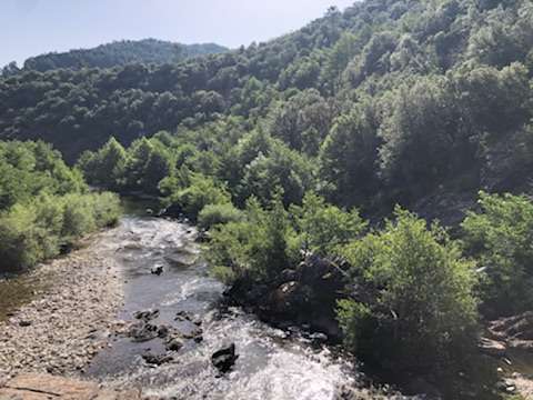 IMG_24941 Hébergement insolite en pleine nature, avec une rivière et des arbres verdoyants.