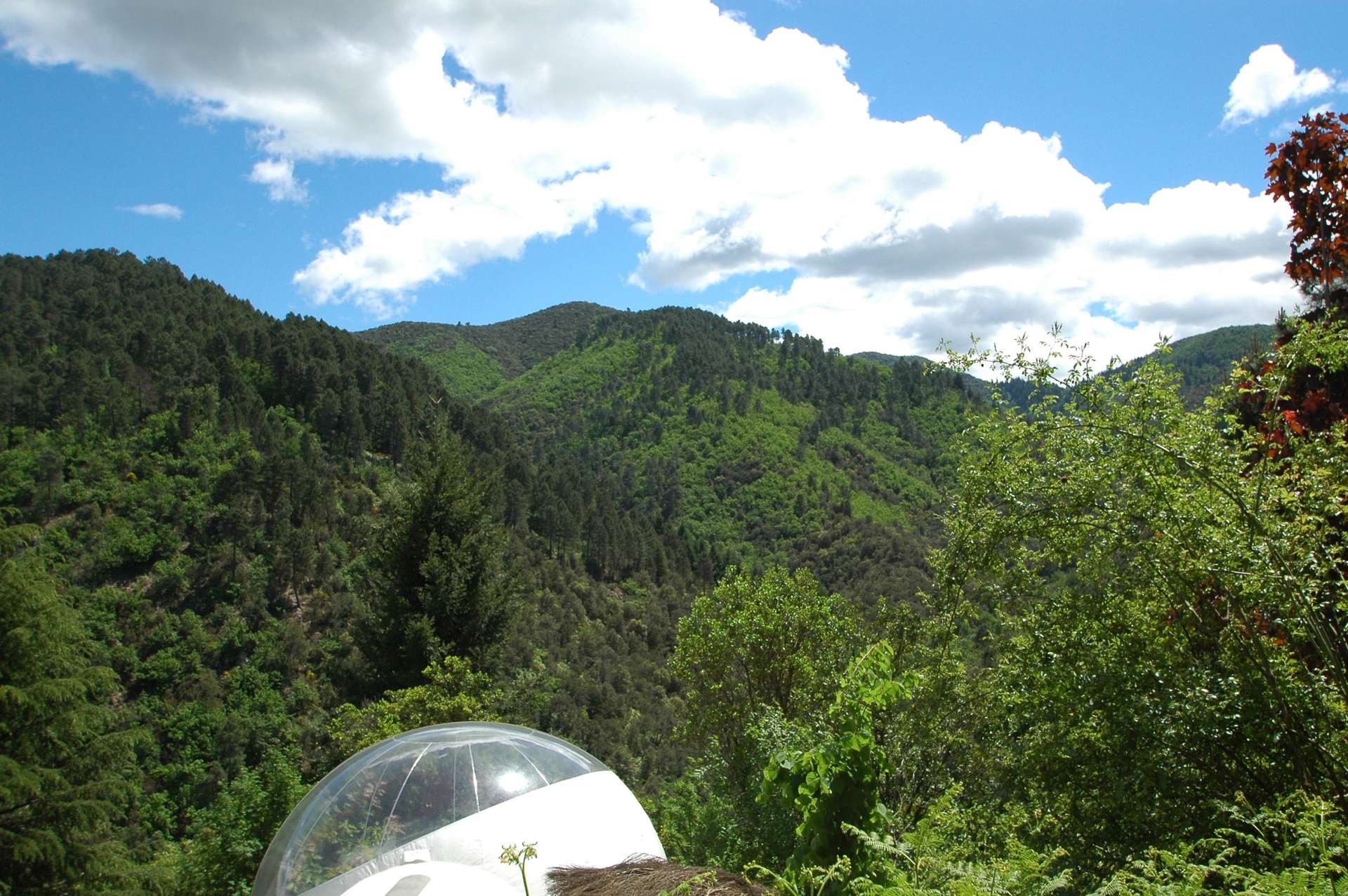 La Bulle Vallée de Vallescure Hébergement insolite en bulle transparente, avec vue sur les montagnes verdoyantes.