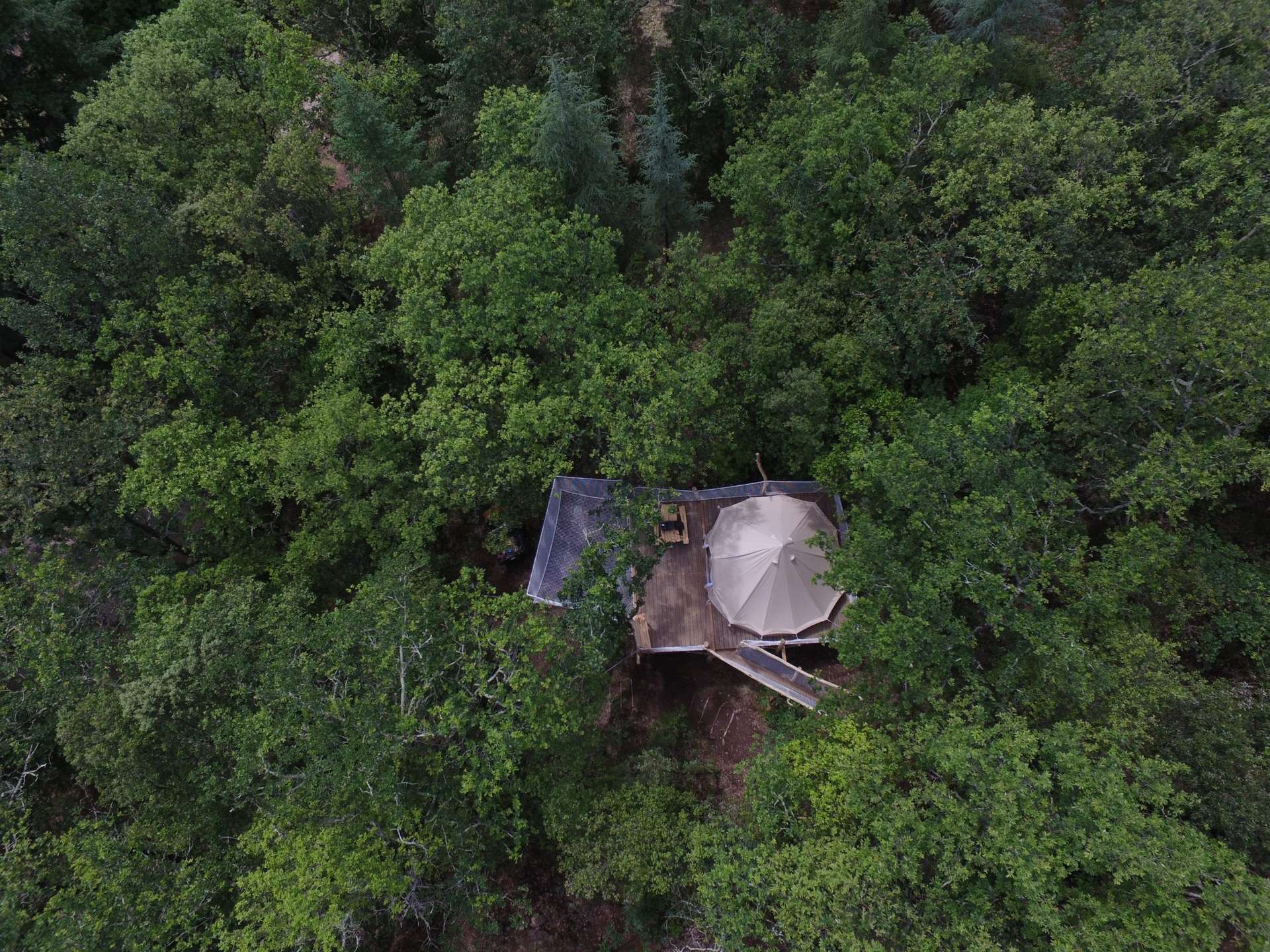 org_e3b60ed1e47a7ebc_1622887748000 Cabane perchée dans les arbres, entourée dune dense forêt verdoyante.