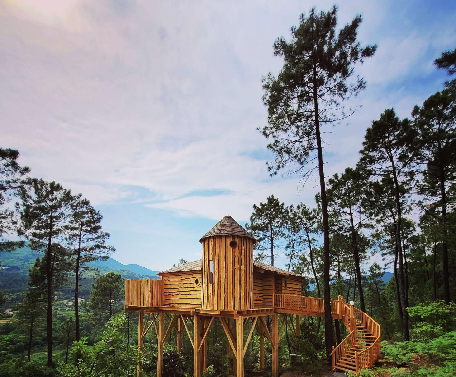 C95AFA05-3FD5-4C9B-BA85-91E0E7158F7C Cabane perchée en bois, entourée de pins, offrant une vue imprenable sur la nature.