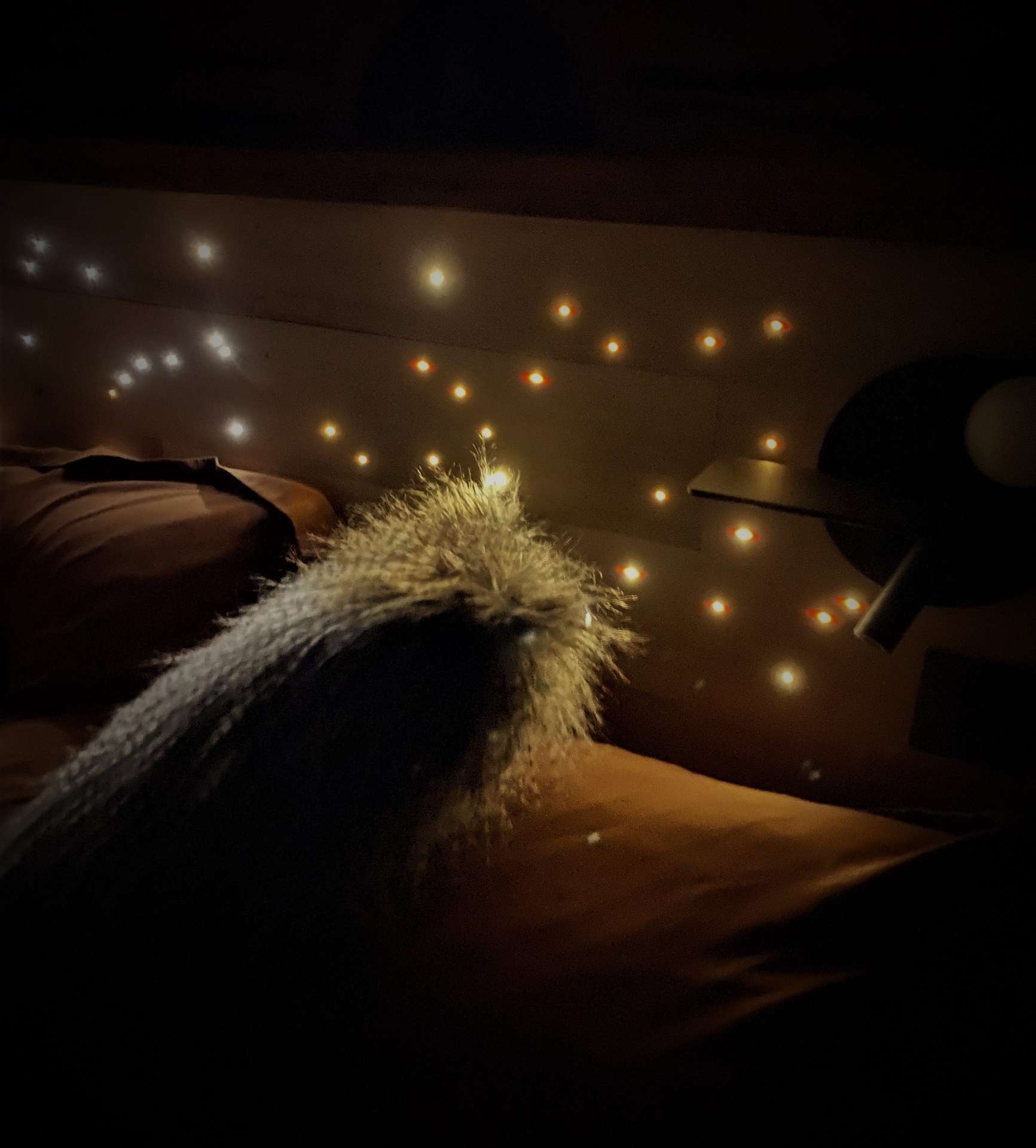 IMG_5351 Hébergement insolite en Midi-Pyrénées, lit cosy avec étoiles scintillantes au mur.