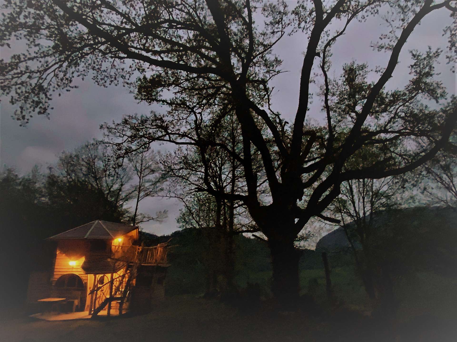 IMG_5538 Cabane perchée à Midi-Pyrénées, illuminée sous un grand arbre au crépuscule.