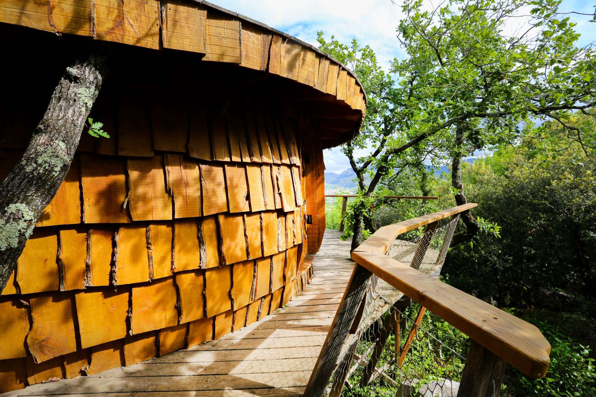 Souley-by-Ema-44-2000 Cabane en bois dans les arbres, avec un chemin en bois et vue sur la nature.