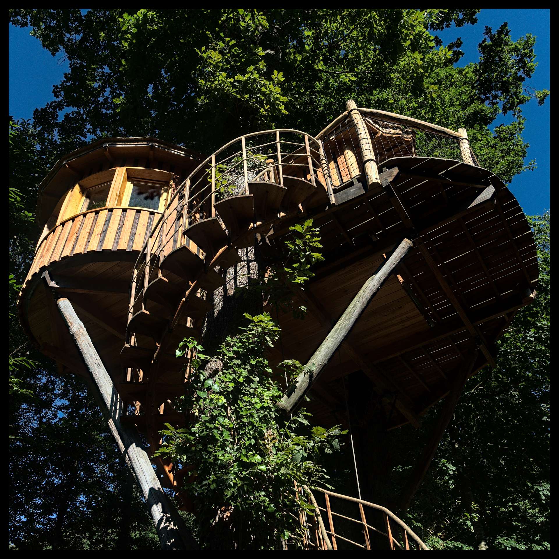 cabane perchée pyrénée Cabane perchée dans les arbres, avec un escalier en spirale et vue sur la nature.