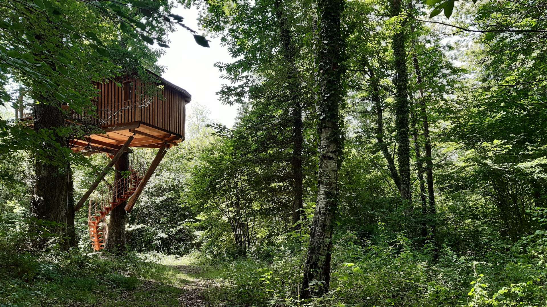 cabane perchée pyrénées atlantique Cabane perchée dans les arbres, entourée dune verdure luxuriante en Aquitaine.