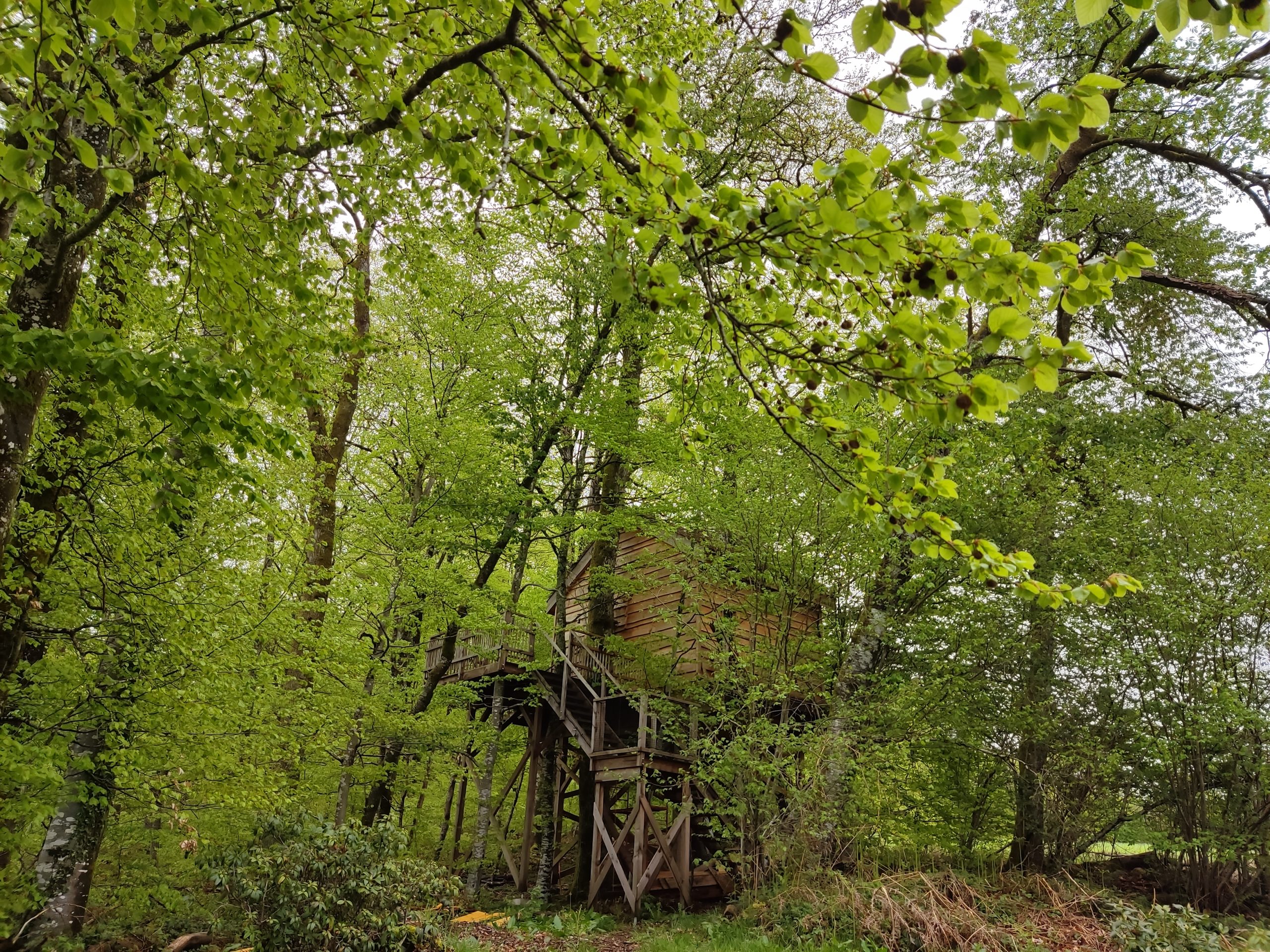 IMG_20210511_171431 Cabane perchée en bois, entourée de feuillage verdoyant dans la forêt du Grand-Est.