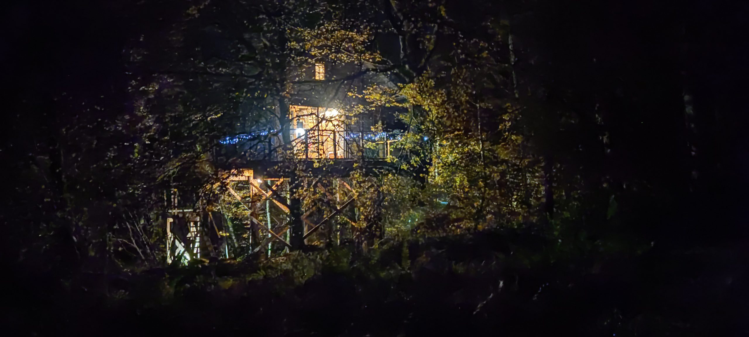 IMG_20211117_184024 Cabane perchée dans les arbres, illuminée par une douce lumière nocturne.