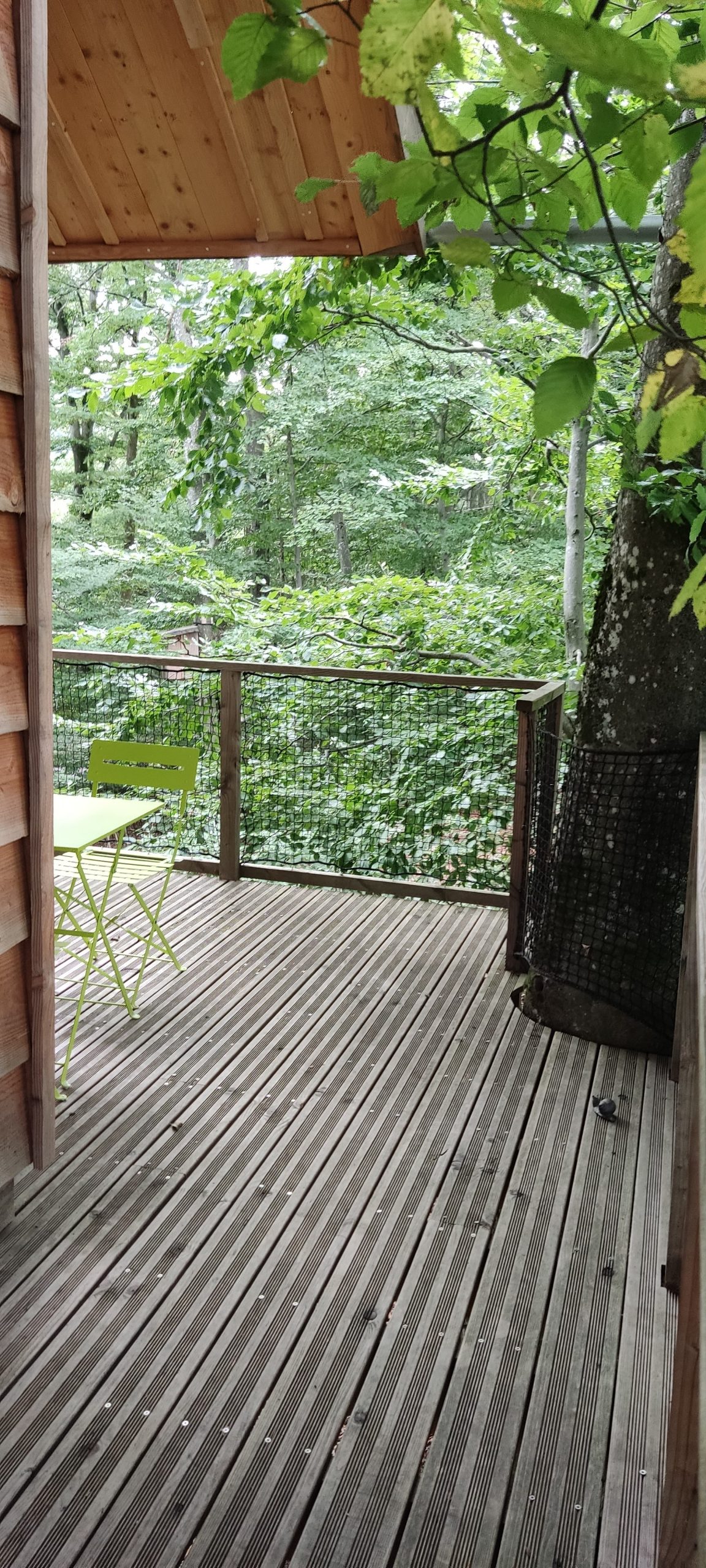 IMG_20220913_173124 Cabane perchée en bois avec terrasse, entourée de verdure luxuriante.