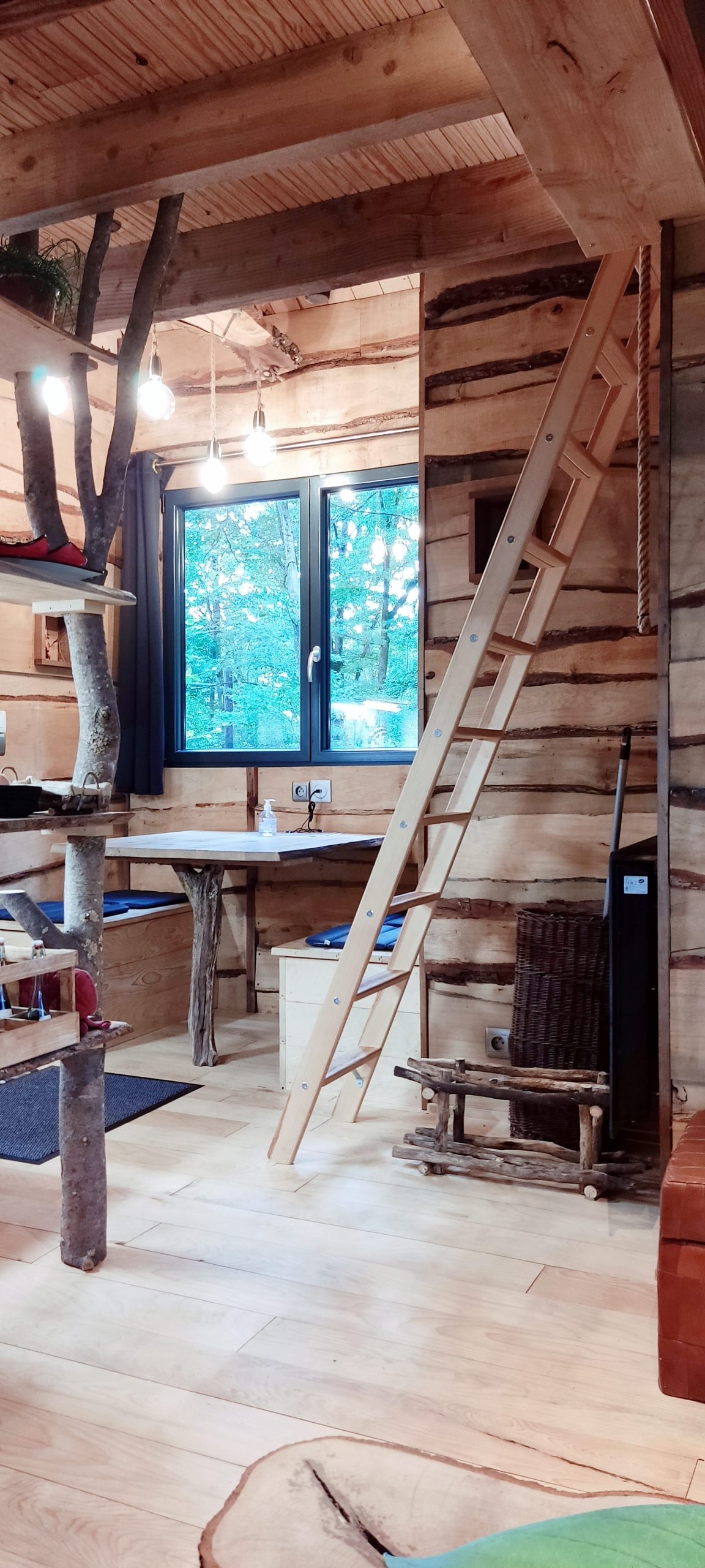 IMG_20220913_173851 Cabane en bois dans les arbres, avec échelle et vue sur la nature.