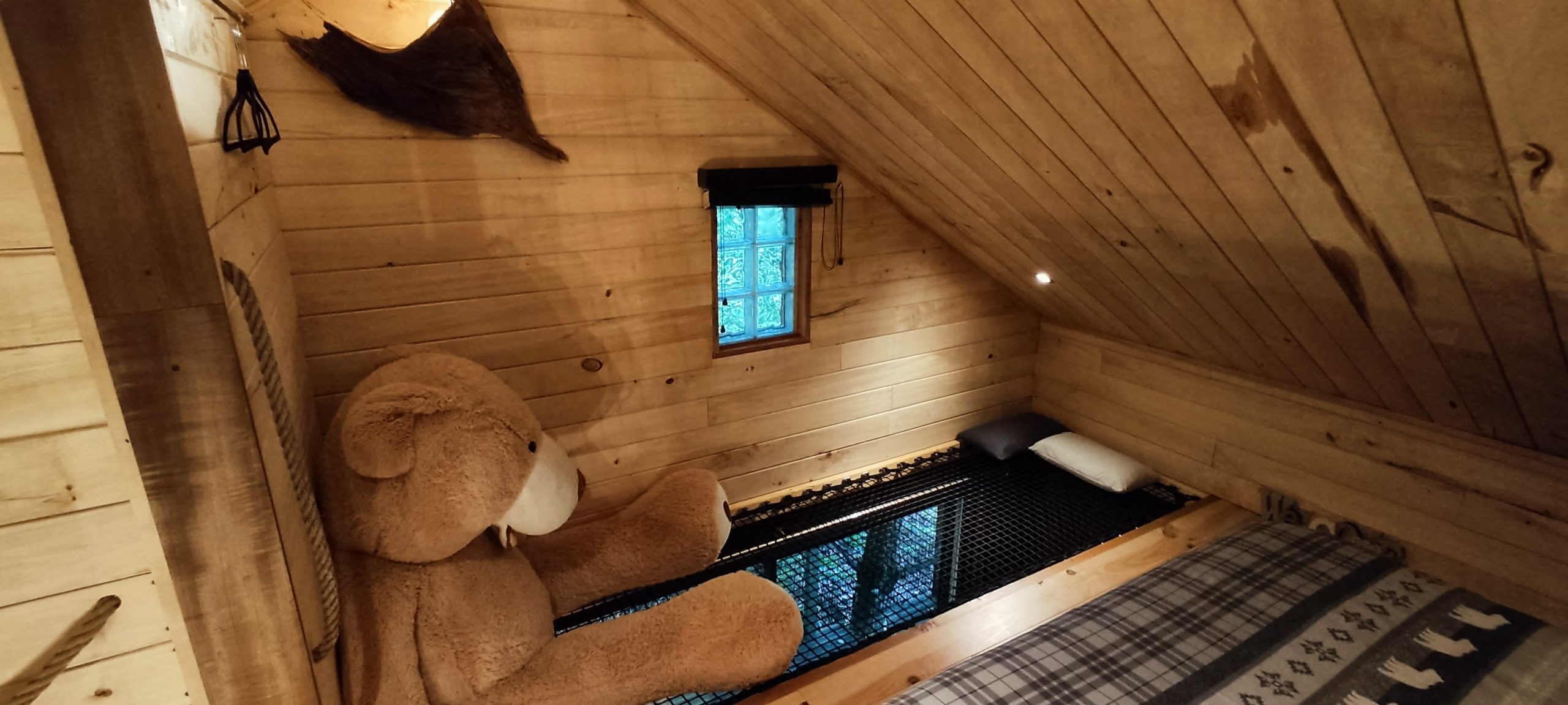 IMG_20220913_174352 Cabane en bois avec un grand ours en peluche et une fenêtre lumineuse.