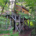 La Pat’ de l’ours