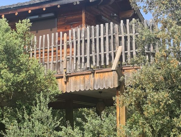 Cabane perchée en bois en Corse, entourée darbres verdoyants et dune balustrade en bois.
