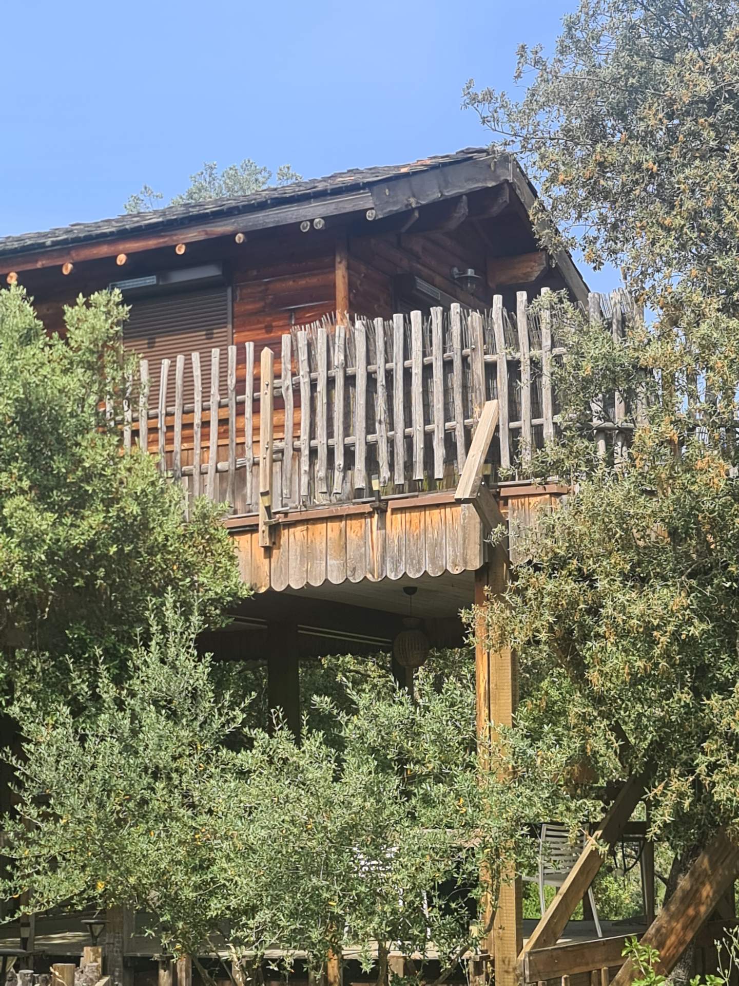 Cabane perchée en bois en Corse, entourée darbres verdoyants et dune balustrade en bois.