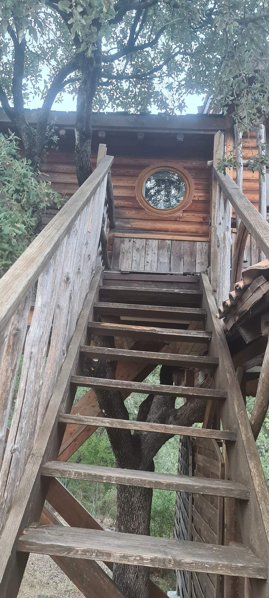 Cabane perchée en Corse, accès par un escalier en bois et fenêtre ronde.