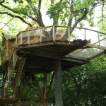 Cabane dans les arbres avec terrasse en bois, entourée de verdure luxuriante.